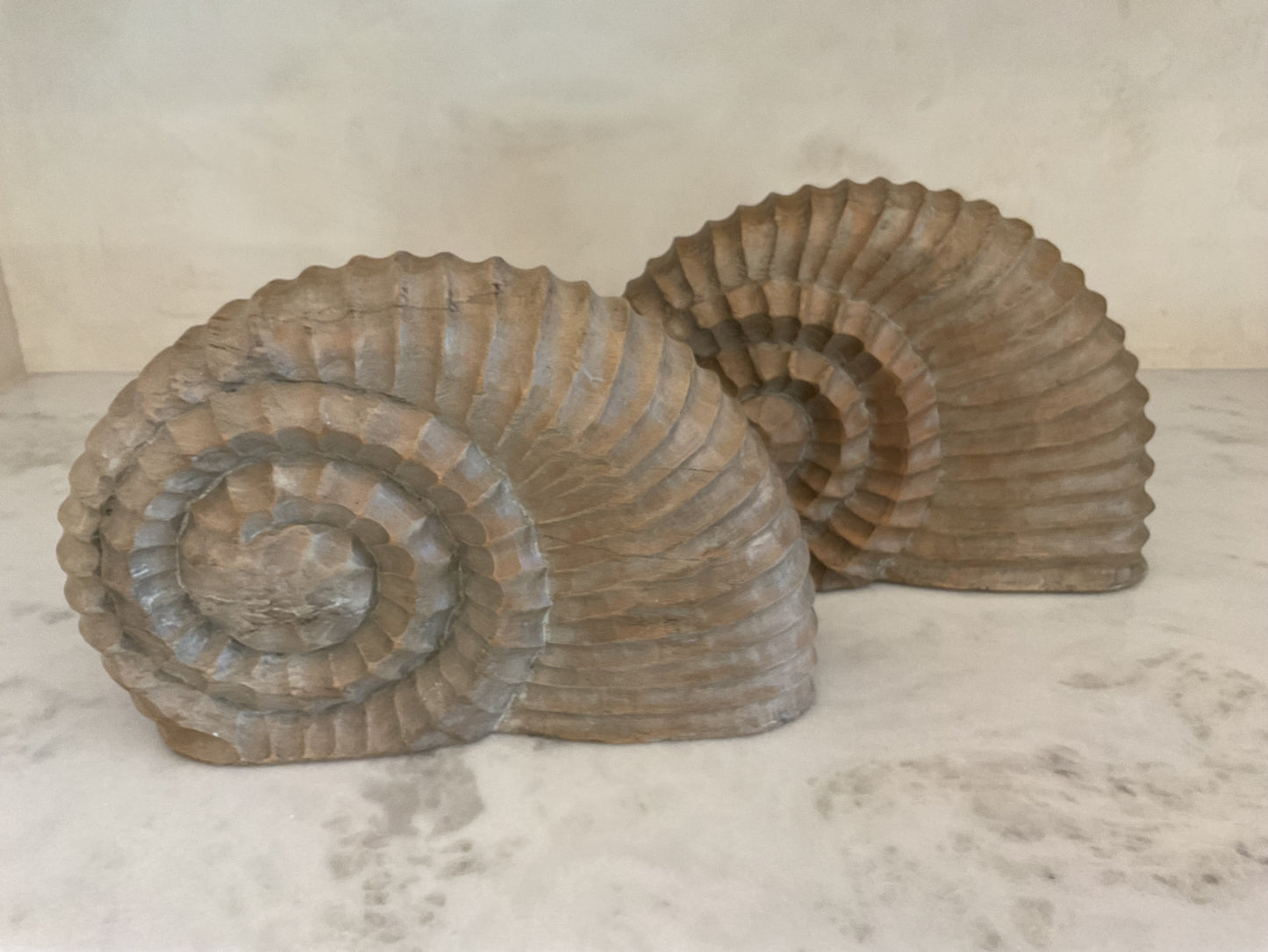 Carved Wood Shell