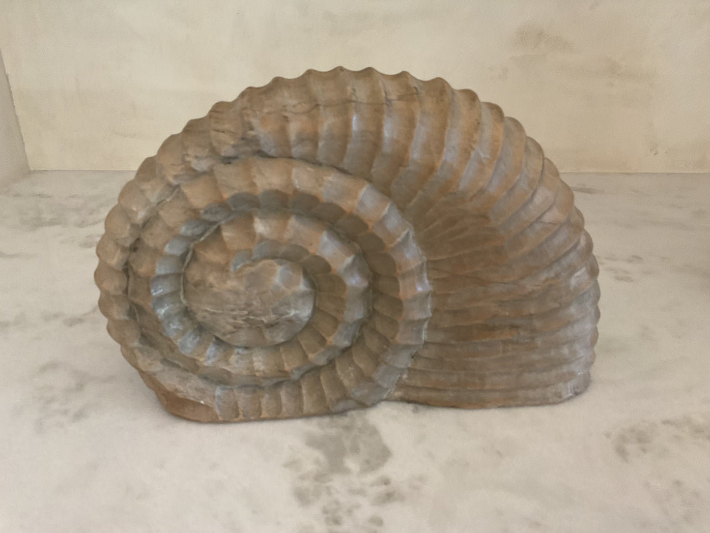Carved Wood Shell