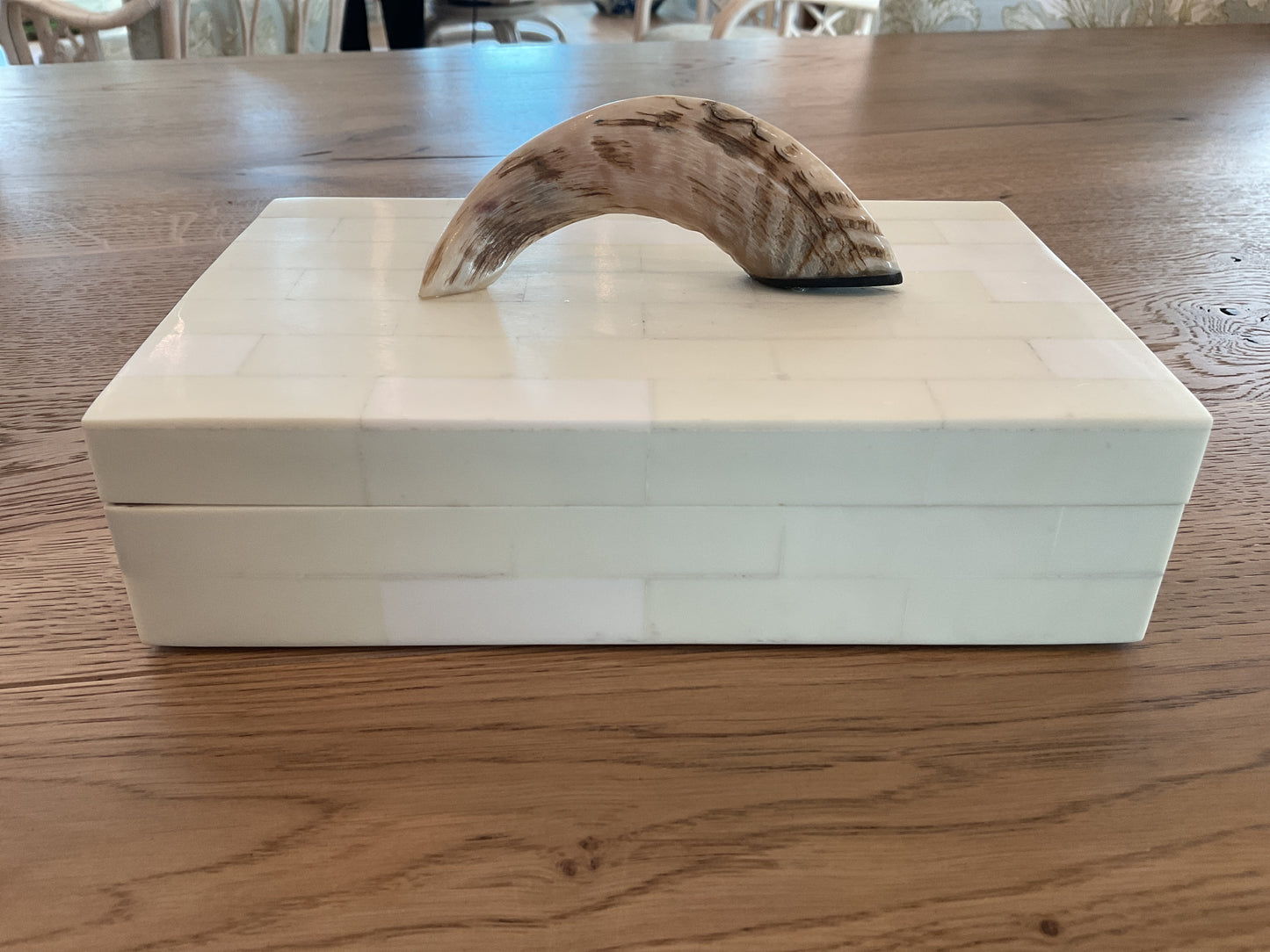 Bone Box with Horn small