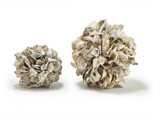 Oyster Shells Decorative Ball Assorted 2 Sizes: 9" and 12"