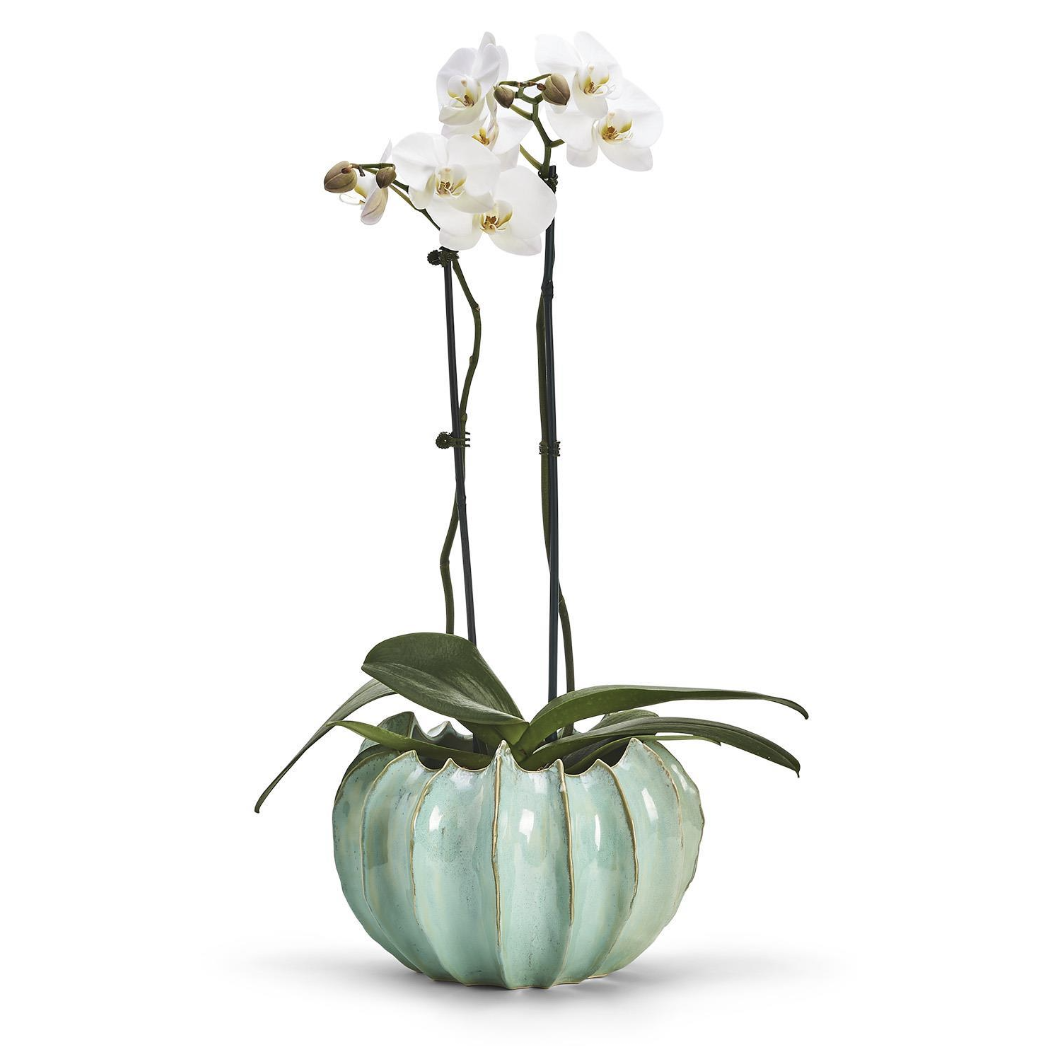 Large Celadon Gourd Vase