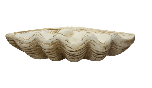 Large Clamshell Decor