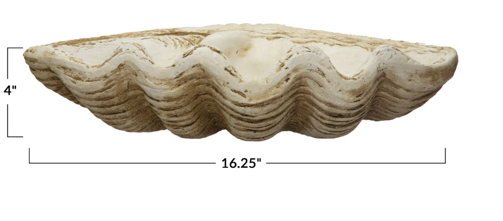 Large Clamshell Decor