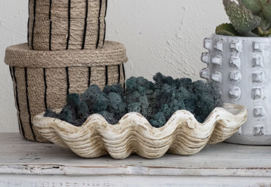 Large Clamshell Decor